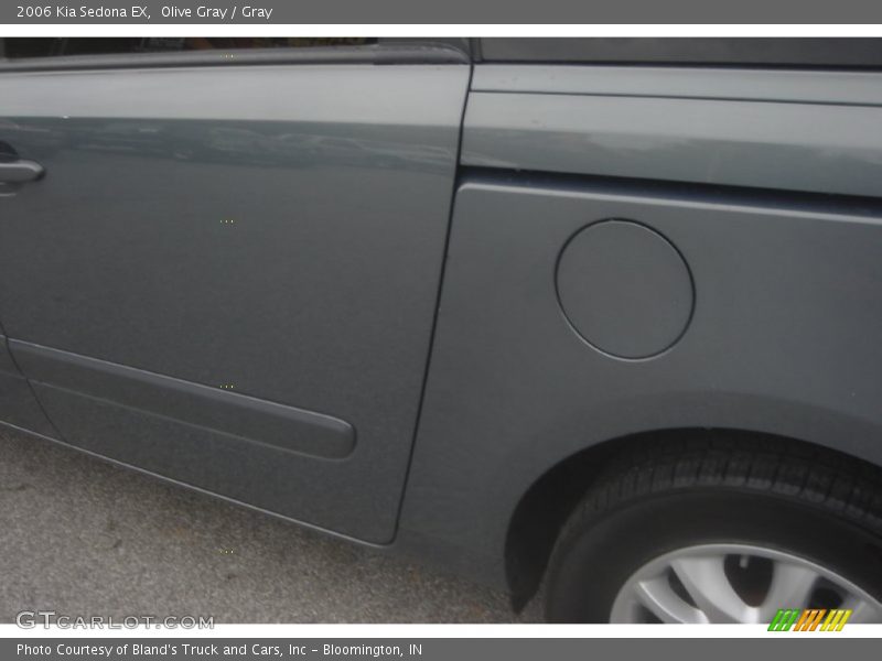 Olive Gray / Gray 2006 Kia Sedona EX