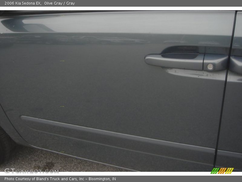 Olive Gray / Gray 2006 Kia Sedona EX