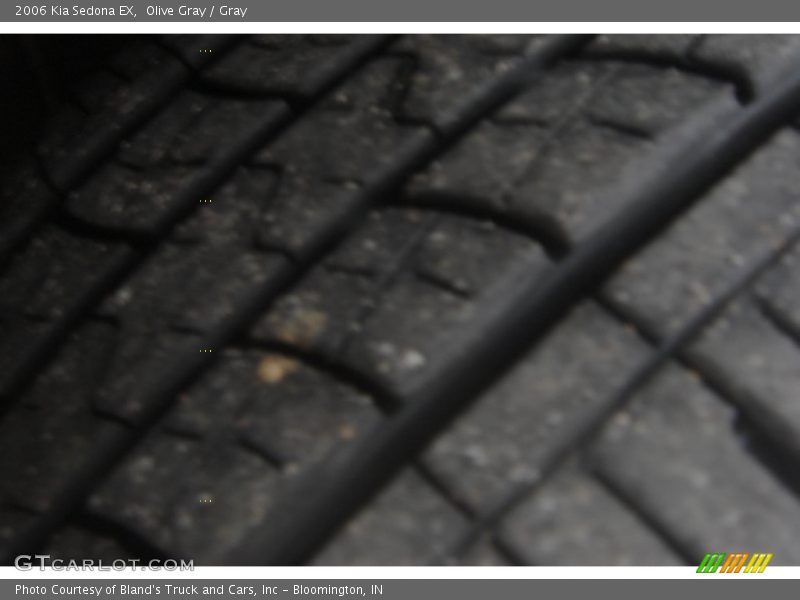 Olive Gray / Gray 2006 Kia Sedona EX