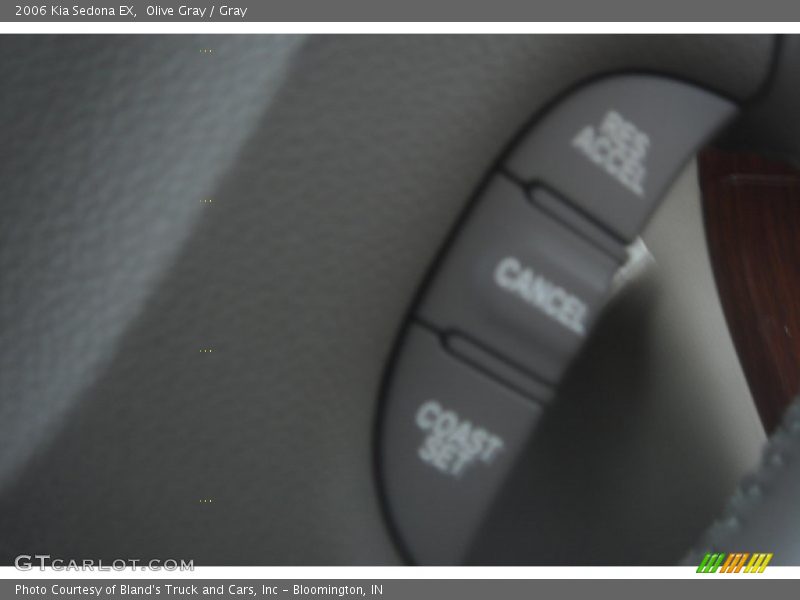 Olive Gray / Gray 2006 Kia Sedona EX