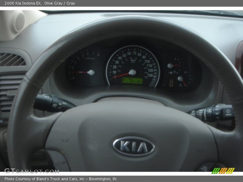 Olive Gray / Gray 2006 Kia Sedona EX