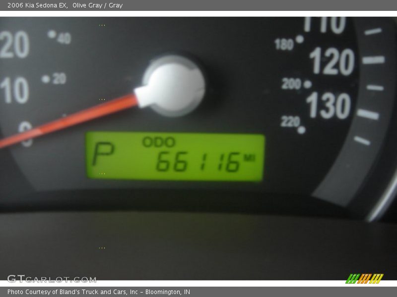 Olive Gray / Gray 2006 Kia Sedona EX
