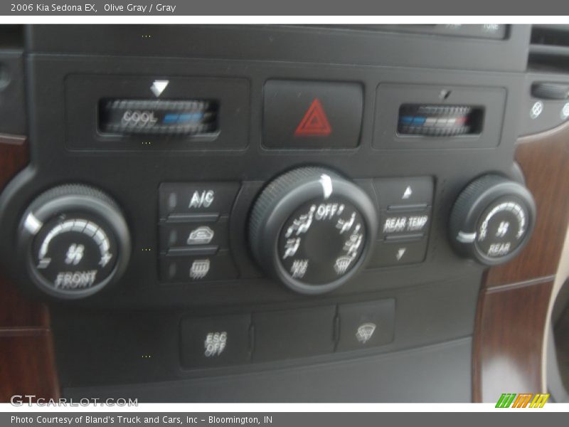 Olive Gray / Gray 2006 Kia Sedona EX