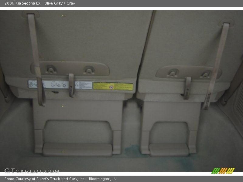 Olive Gray / Gray 2006 Kia Sedona EX