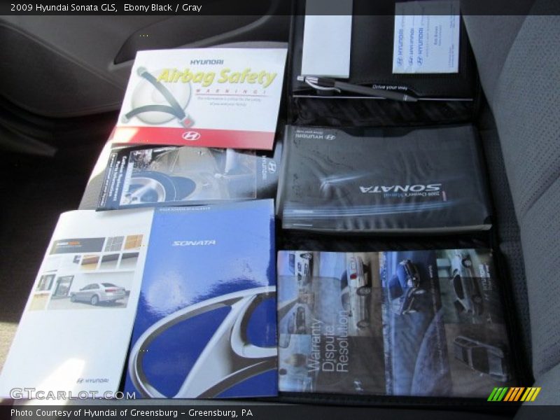 Ebony Black / Gray 2009 Hyundai Sonata GLS