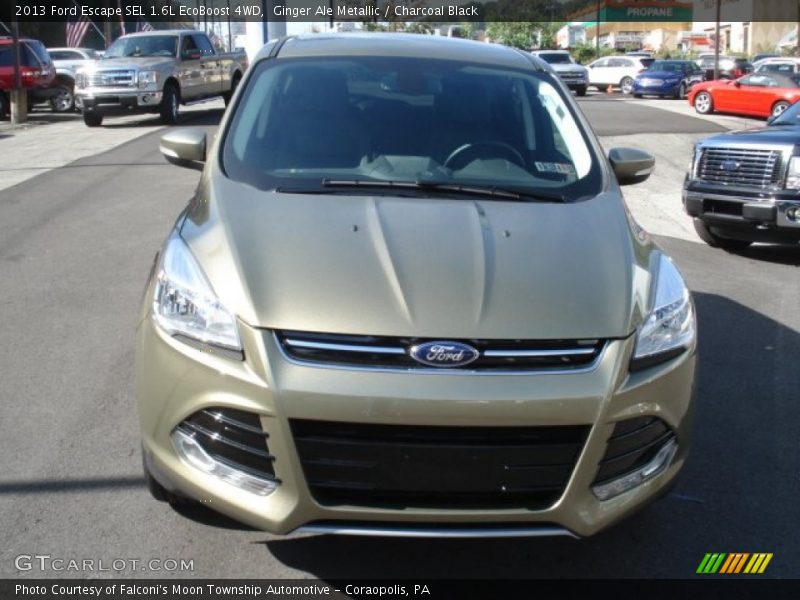 Ginger Ale Metallic / Charcoal Black 2013 Ford Escape SEL 1.6L EcoBoost 4WD