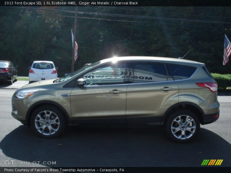 Ginger Ale Metallic / Charcoal Black 2013 Ford Escape SEL 1.6L EcoBoost 4WD