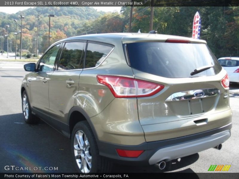 Ginger Ale Metallic / Charcoal Black 2013 Ford Escape SEL 1.6L EcoBoost 4WD