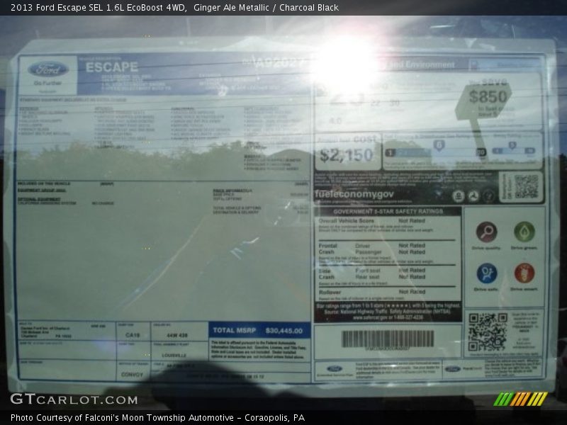 Ginger Ale Metallic / Charcoal Black 2013 Ford Escape SEL 1.6L EcoBoost 4WD
