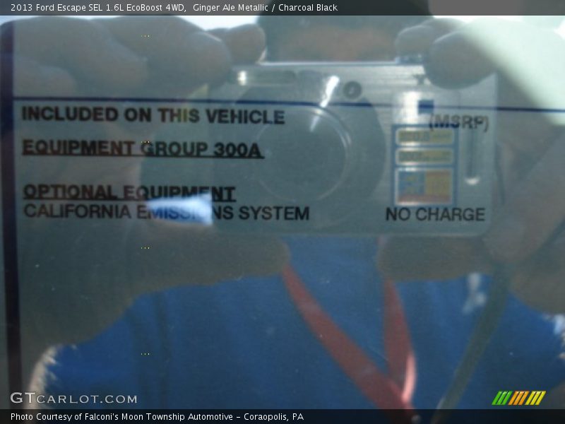 Ginger Ale Metallic / Charcoal Black 2013 Ford Escape SEL 1.6L EcoBoost 4WD