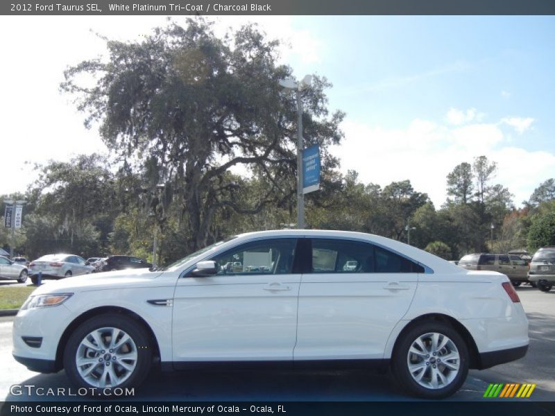 White Platinum Tri-Coat / Charcoal Black 2012 Ford Taurus SEL