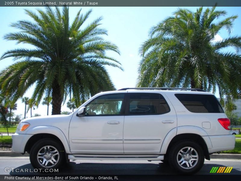Natural White / Taupe 2005 Toyota Sequoia Limited