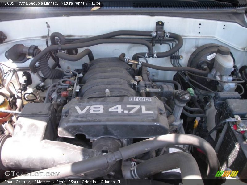 Natural White / Taupe 2005 Toyota Sequoia Limited