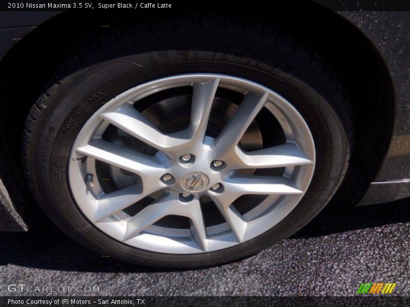 Super Black / Caffe Latte 2010 Nissan Maxima 3.5 SV