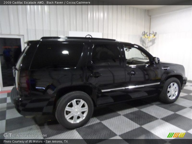Black Raven / Cocoa/Cashmere 2009 Cadillac Escalade AWD