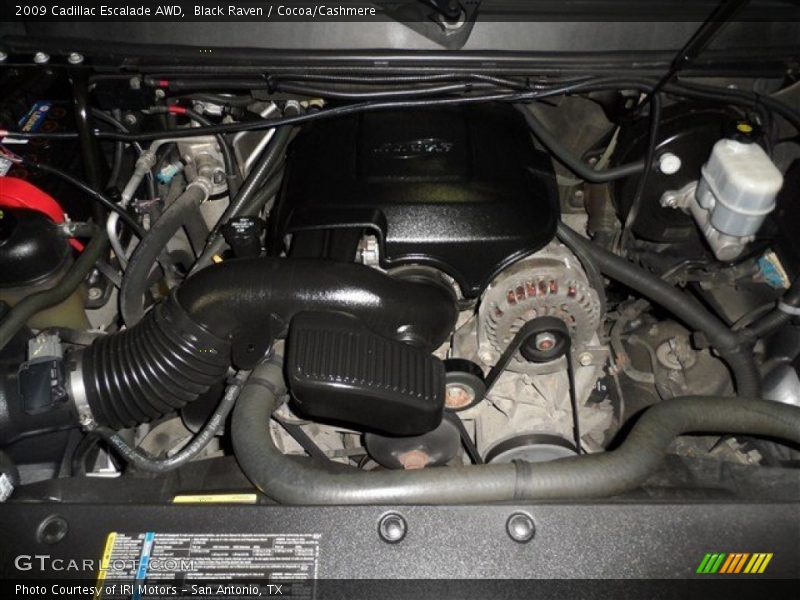 Black Raven / Cocoa/Cashmere 2009 Cadillac Escalade AWD