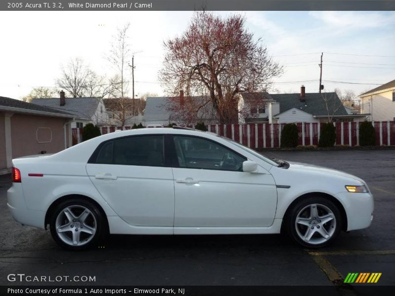 White Diamond Pearl / Camel 2005 Acura TL 3.2
