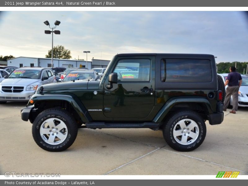 Natural Green Pearl / Black 2011 Jeep Wrangler Sahara 4x4