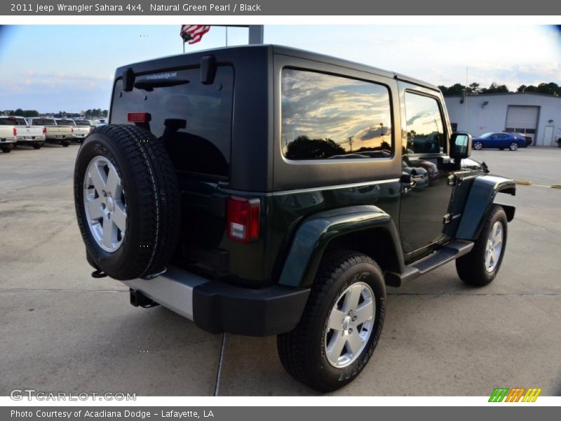 Natural Green Pearl / Black 2011 Jeep Wrangler Sahara 4x4