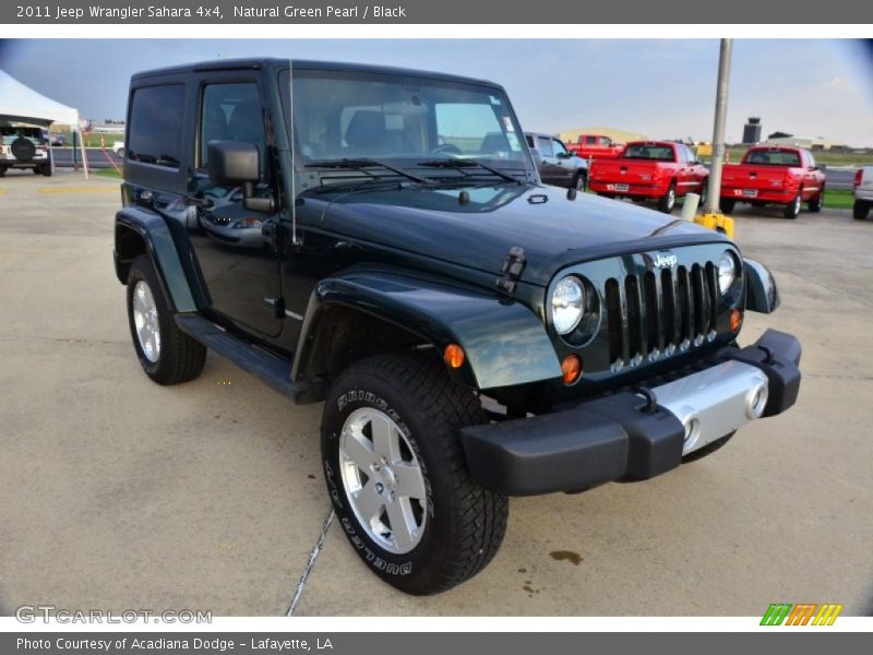 Natural Green Pearl / Black 2011 Jeep Wrangler Sahara 4x4