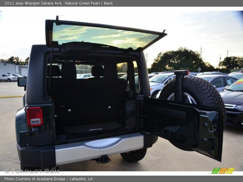Natural Green Pearl / Black 2011 Jeep Wrangler Sahara 4x4