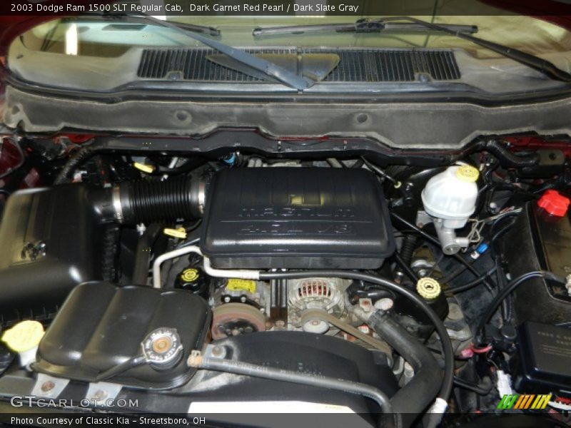 Dark Garnet Red Pearl / Dark Slate Gray 2003 Dodge Ram 1500 SLT Regular Cab