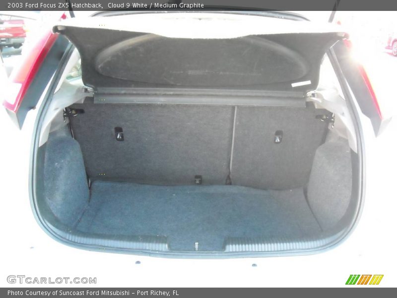 Cloud 9 White / Medium Graphite 2003 Ford Focus ZX5 Hatchback