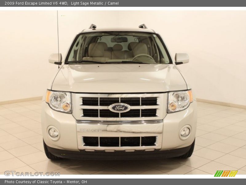 Light Sage Metallic / Camel 2009 Ford Escape Limited V6 4WD