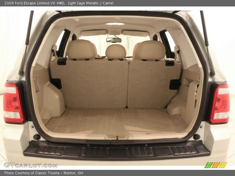 Light Sage Metallic / Camel 2009 Ford Escape Limited V6 4WD
