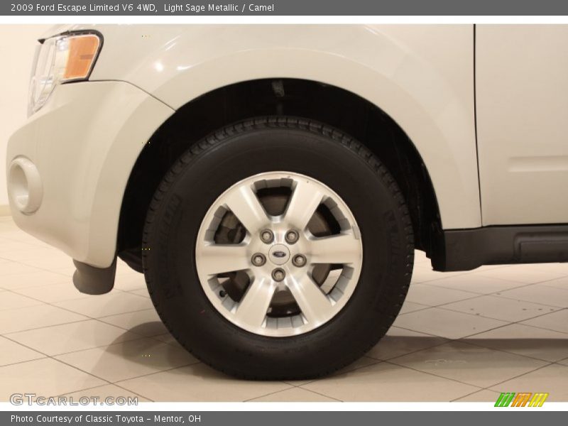 Light Sage Metallic / Camel 2009 Ford Escape Limited V6 4WD