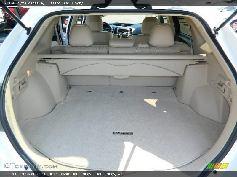Blizzard Pearl / Ivory 2009 Toyota Venza I4