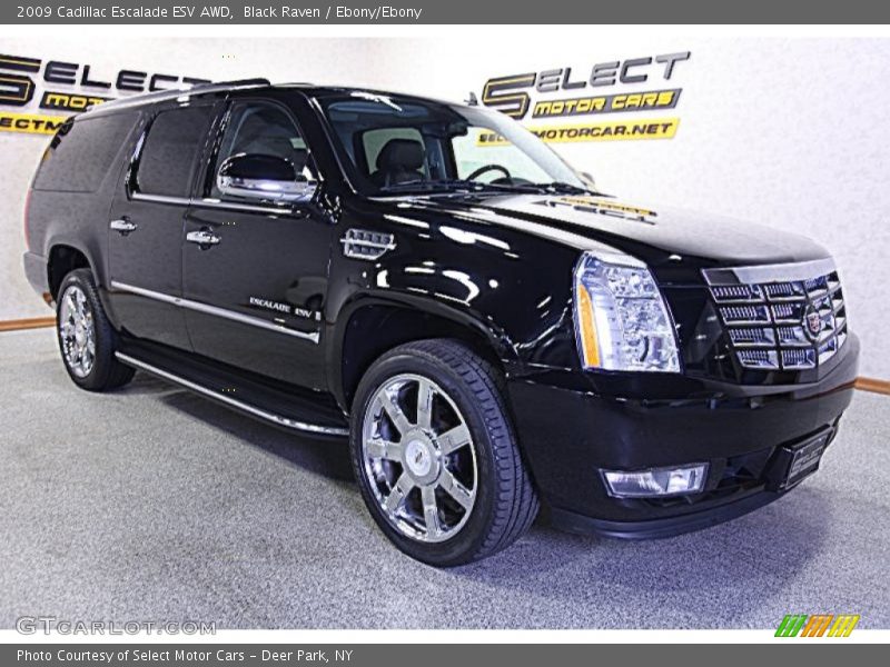 Black Raven / Ebony/Ebony 2009 Cadillac Escalade ESV AWD