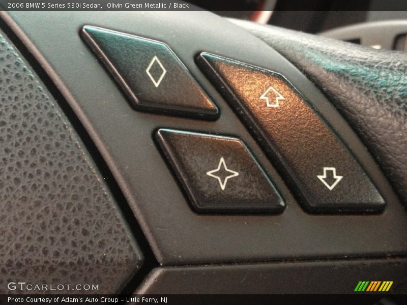 Olivin Green Metallic / Black 2006 BMW 5 Series 530i Sedan