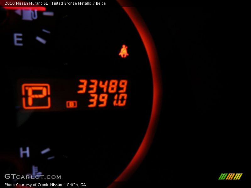 Tinted Bronze Metallic / Beige 2010 Nissan Murano SL