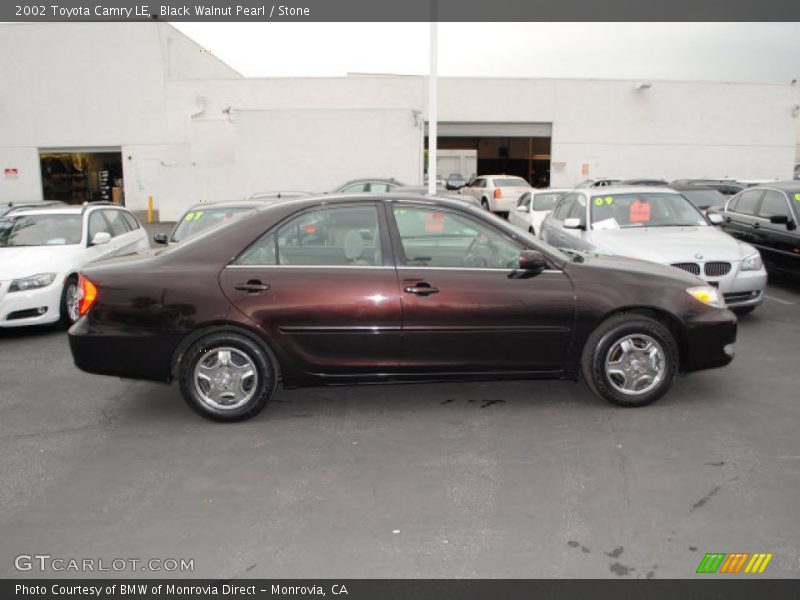 Black Walnut Pearl / Stone 2002 Toyota Camry LE