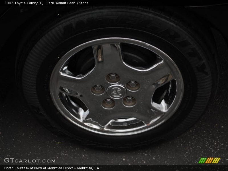 Black Walnut Pearl / Stone 2002 Toyota Camry LE