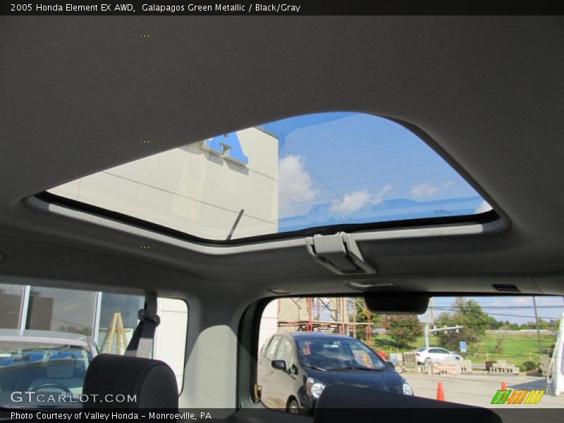 Galapagos Green Metallic / Black/Gray 2005 Honda Element EX AWD