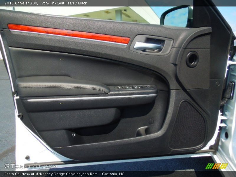 Door Panel of 2013 300 