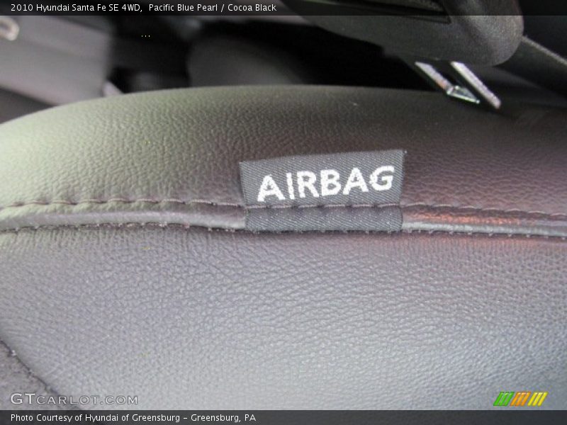 Pacific Blue Pearl / Cocoa Black 2010 Hyundai Santa Fe SE 4WD