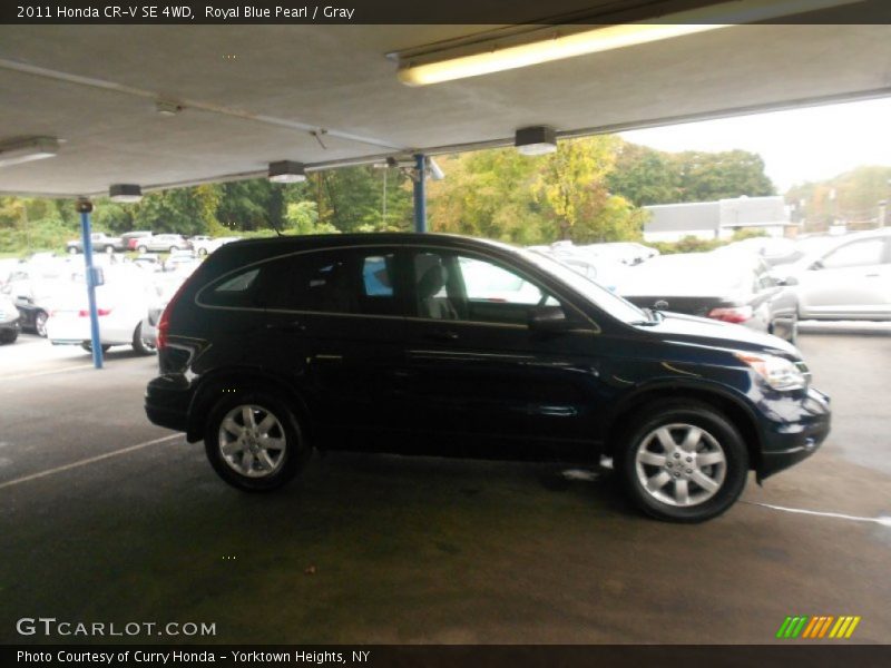 Royal Blue Pearl / Gray 2011 Honda CR-V SE 4WD