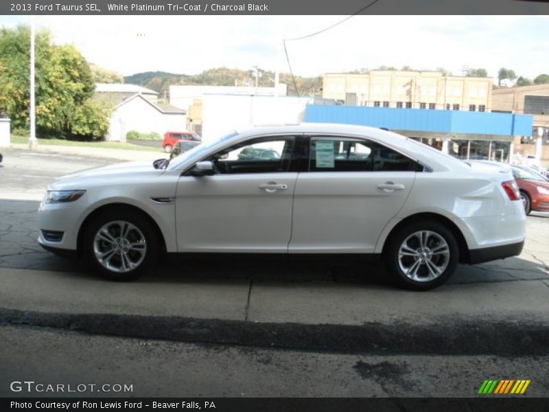 White Platinum Tri-Coat / Charcoal Black 2013 Ford Taurus SEL