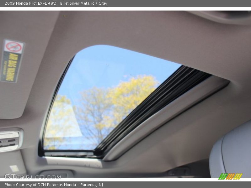 Billet Silver Metallic / Gray 2009 Honda Pilot EX-L 4WD