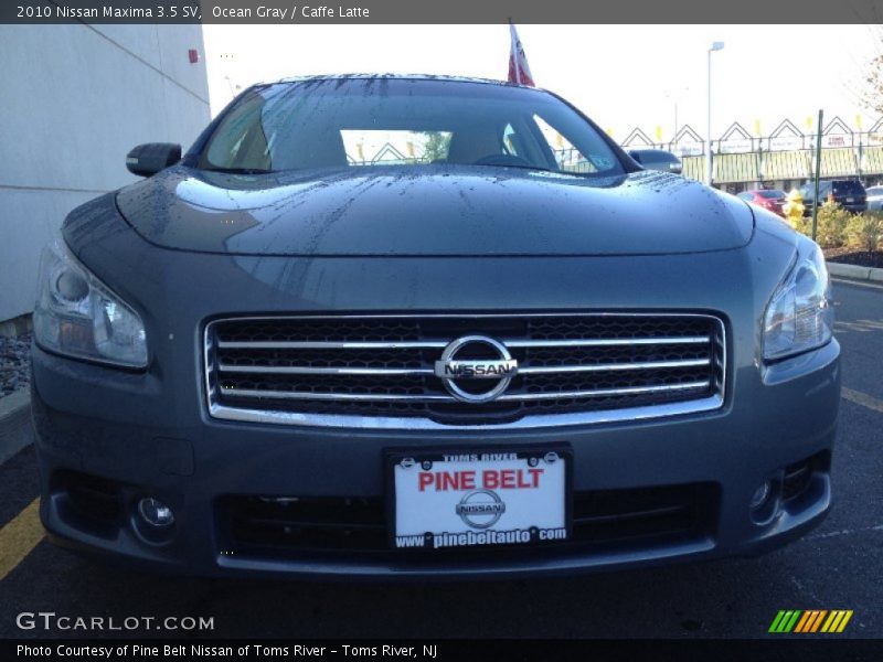 Ocean Gray / Caffe Latte 2010 Nissan Maxima 3.5 SV