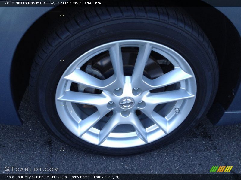 Ocean Gray / Caffe Latte 2010 Nissan Maxima 3.5 SV