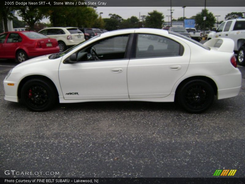 Stone White / Dark Slate Gray 2005 Dodge Neon SRT-4