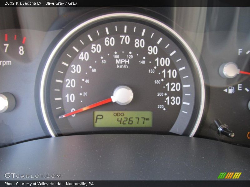 Olive Gray / Gray 2009 Kia Sedona LX