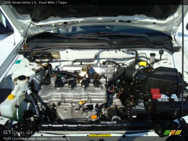 Cloud White / Taupe 2005 Nissan Sentra 1.8