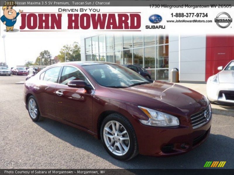 Tuscan Sun / Charcoal 2011 Nissan Maxima 3.5 SV Premium