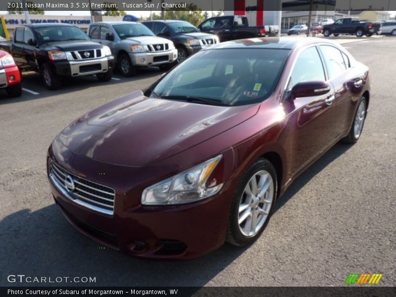 Tuscan Sun / Charcoal 2011 Nissan Maxima 3.5 SV Premium