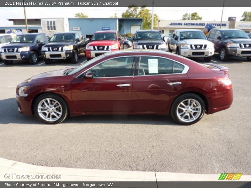 Tuscan Sun / Charcoal 2011 Nissan Maxima 3.5 SV Premium